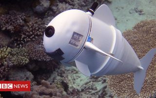 MIT Creates Robot Fish to Help Save the Oceans