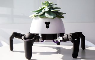 Inventor Creates Robot to Keep Plants Alive