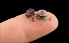 Inventors to Enter Bug-Sized Bots in Competition