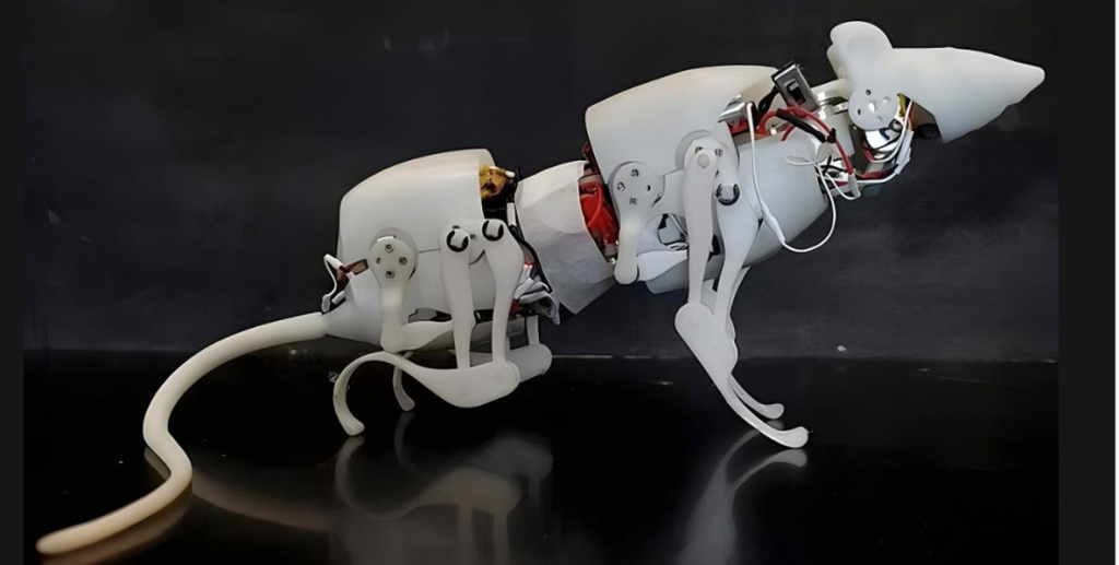Robotic Rats to Help Find, Rescue People in Crisis