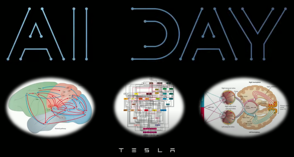 Musk Teases Optimus Possible for Tesla AI Day