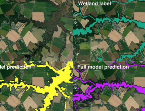 AI Updates Wetlands Data, Creates Accurate Maps